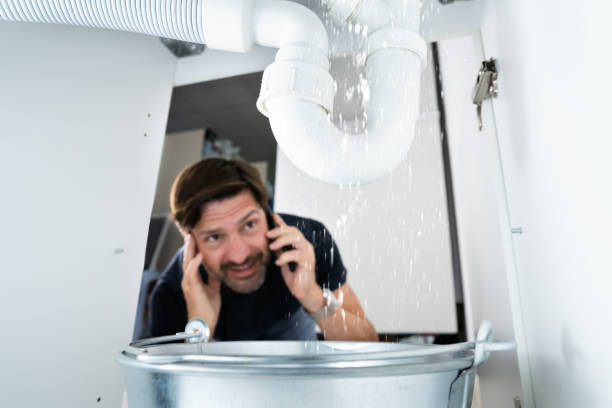 Best Local Plumber Services  in Deer Park, NY